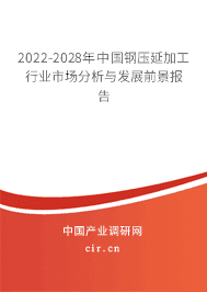鋼壓延加工行業(yè)市場(chǎng)分析與發(fā)展前景報(bào)告（2022-2028年）